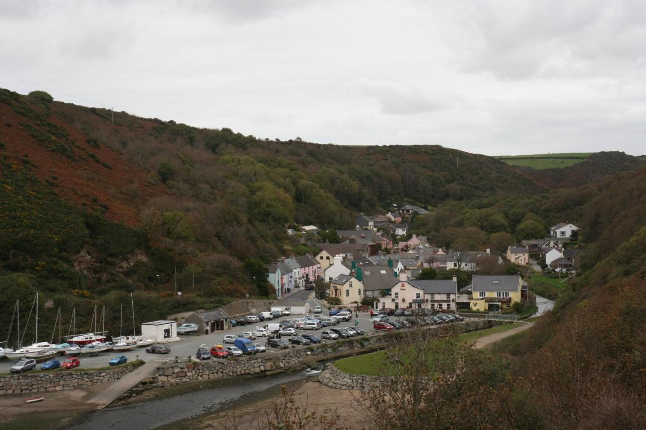 The Cambrian Inn Solva Extérieur photo
